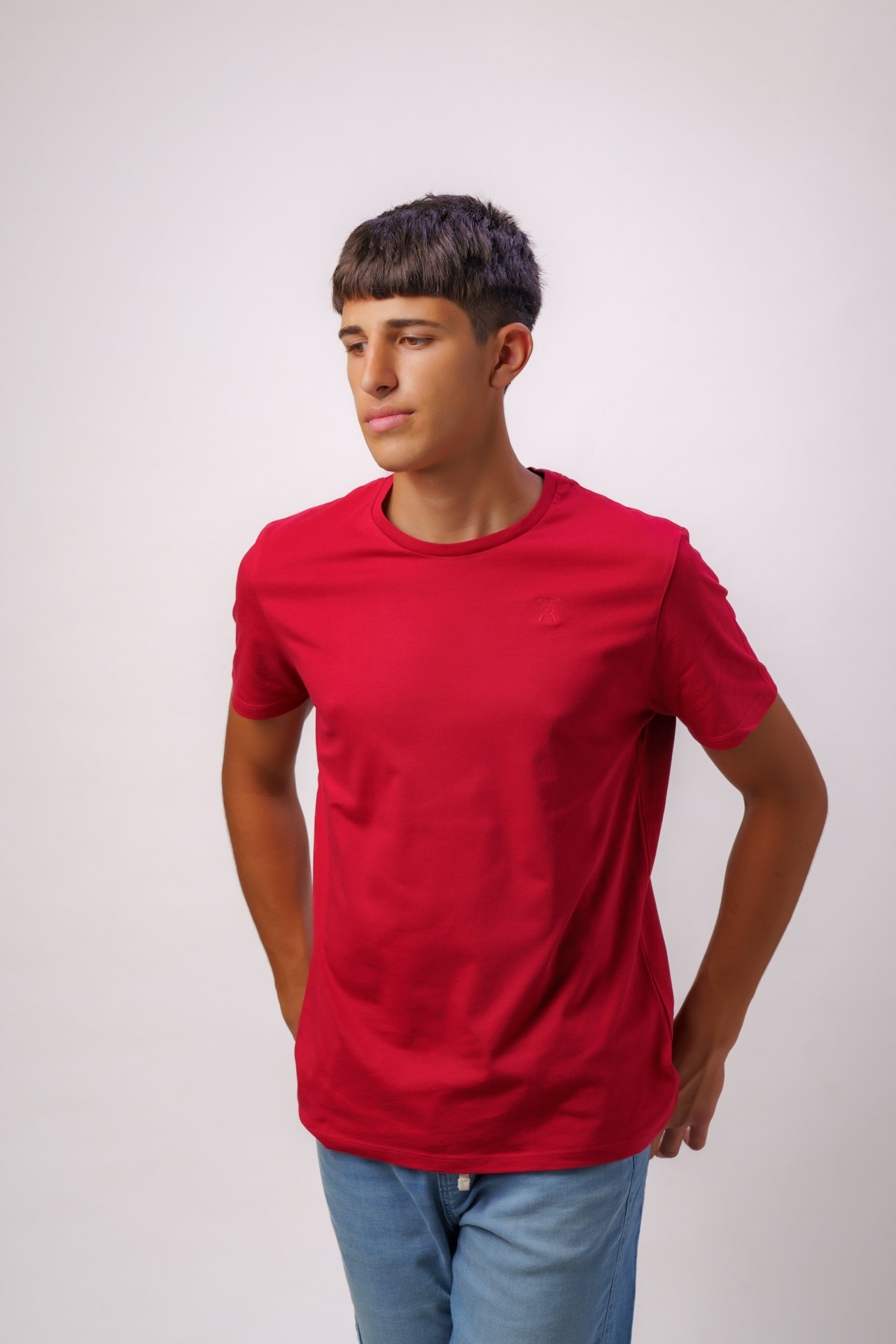 Camiseta Tinto - Svinum básica